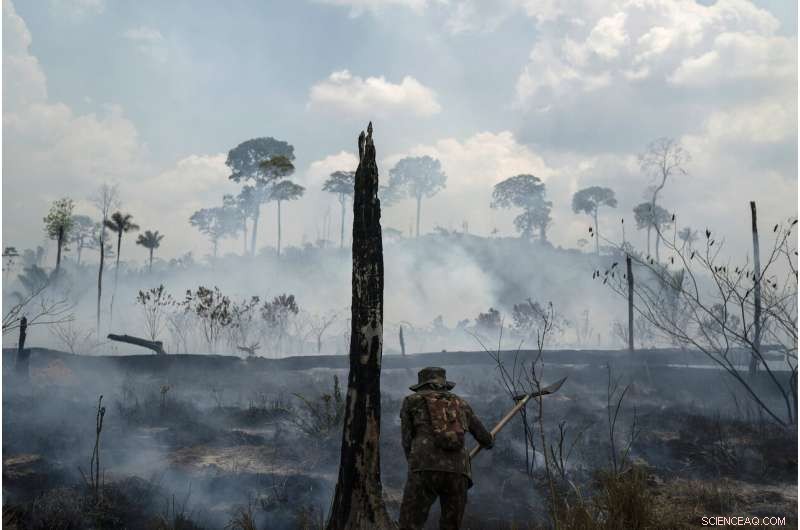 Amazon Fires Persist in 2020 Despite Conservation Promises