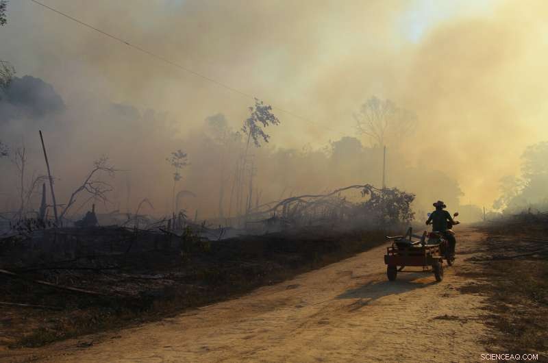 Amazon Fires Persist in 2020 Despite Conservation Promises
