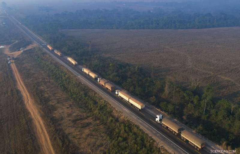 Amazon Fires Persist in 2020 Despite Conservation Promises