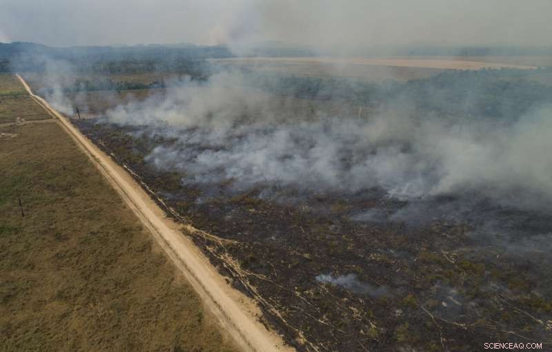 Amazon Fires Persist in 2020 Despite Conservation Promises