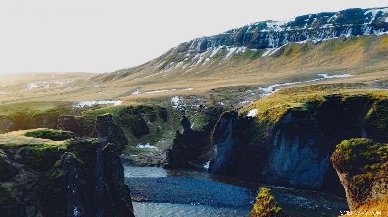Scientists Track Rapid Spring Shift in Arctic Tundra Using Satellite and Ground Observations