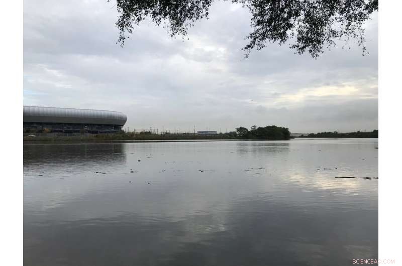 Microbes Break Down Toxic Dioxin in Passaic River, Paving Way for Cleanup