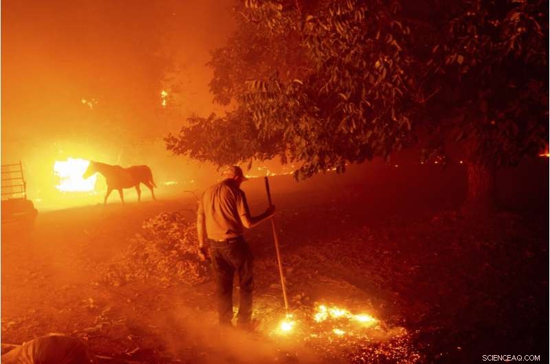 San Francisco Covered in Dense Smoke Amid Escalating California Wildfires