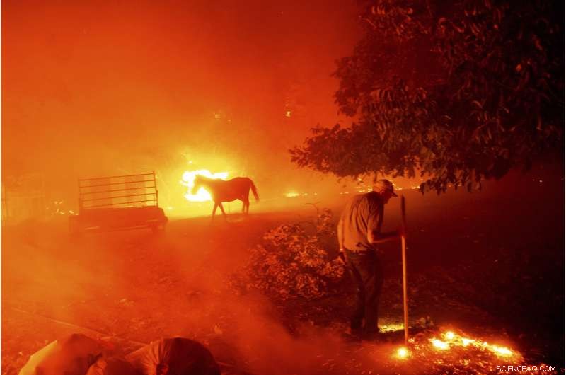 San Francisco Covered in Dense Smoke Amid Escalating California Wildfires