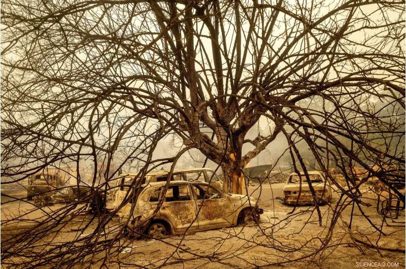 San Francisco Covered in Dense Smoke Amid Escalating California Wildfires