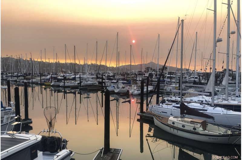 San Francisco Covered in Dense Smoke Amid Escalating California Wildfires