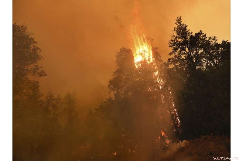 Science Explains How Human Activities Fuel California Wildfires