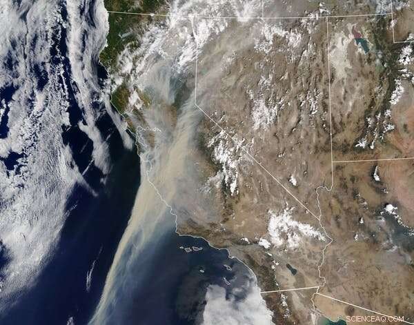What Wildfire Smoke Contains—and Why It Poses Serious Risks to Your Lungs