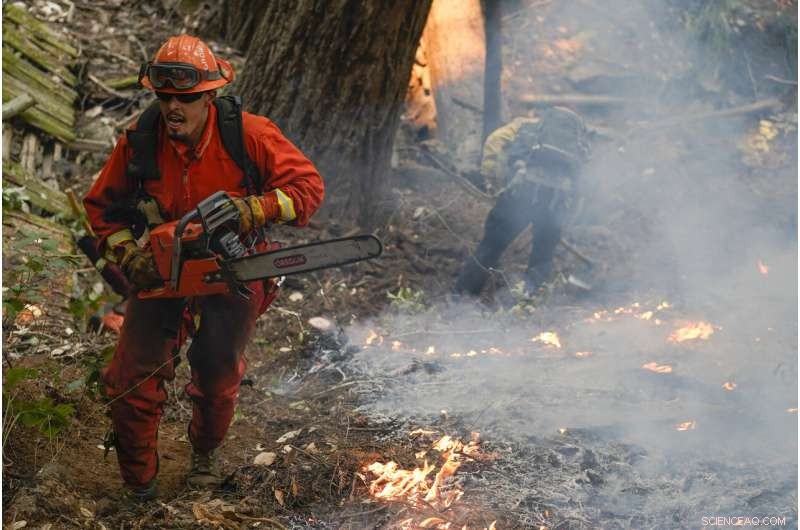 California Wildfires: Among the Largest in State History