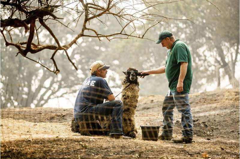 California Wildfires: Among the Largest in State History