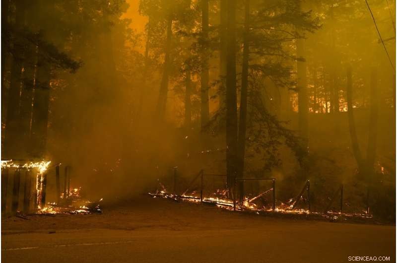 California Wildfires: Among the Largest in State History