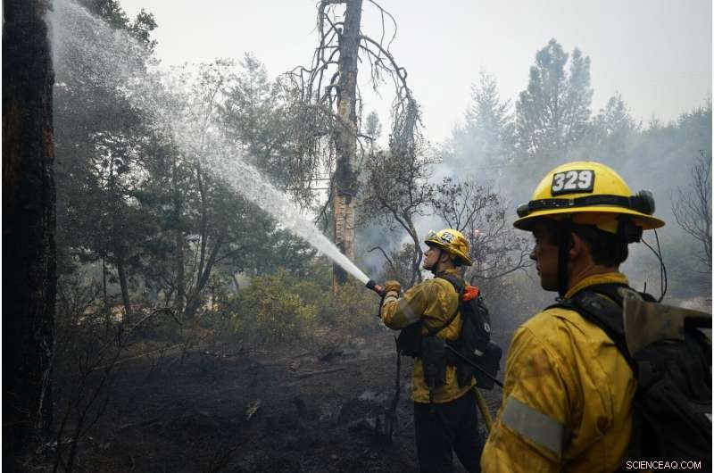 California Wildfires: Among the Largest in State History