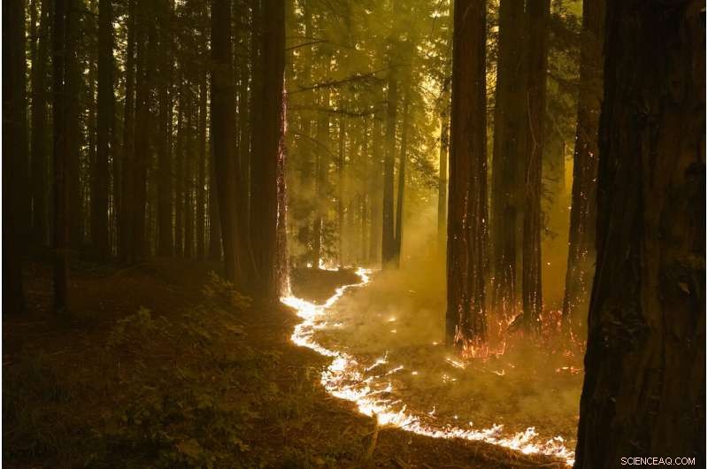 California Wildfires: Among the Largest in State History