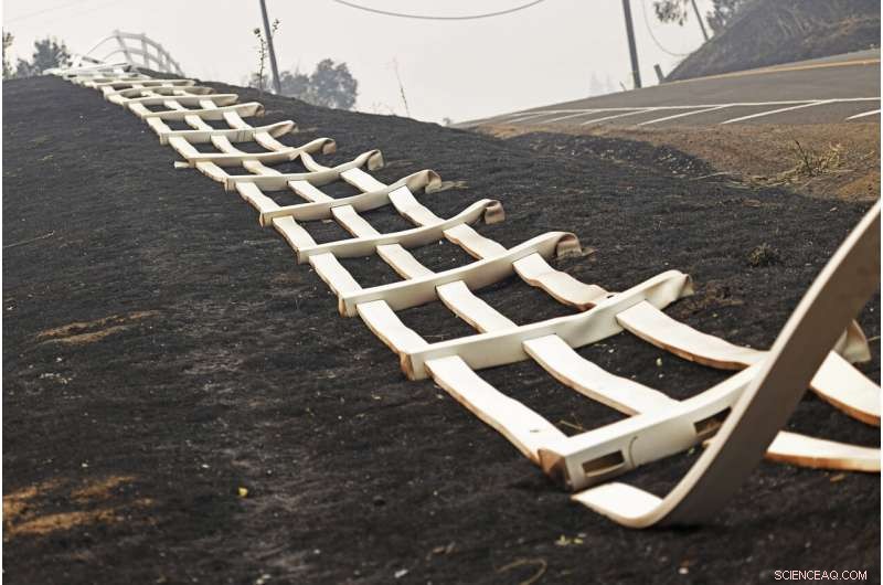 California Wildfires: Among the Largest in State History