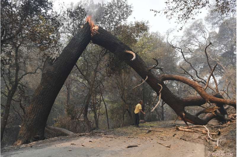 California Wildfires: Among the Largest in State History