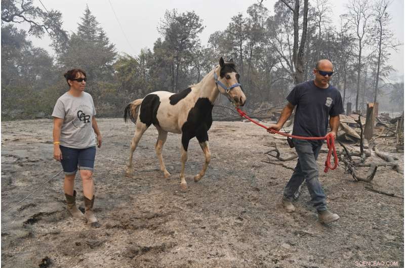 California Wildfires: Among the Largest in State History
