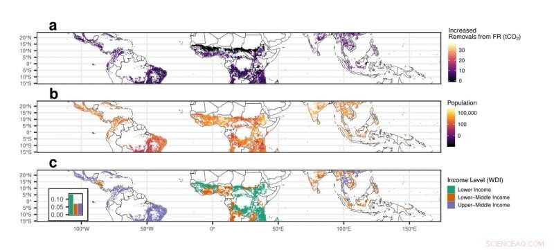 Empowering Communities for Global Forest Restoration: A Path to Sustainable Carbon Sequestration