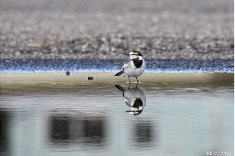 The COVID-19 Pandemic Signals a Critical Need for Strengthening Water Security