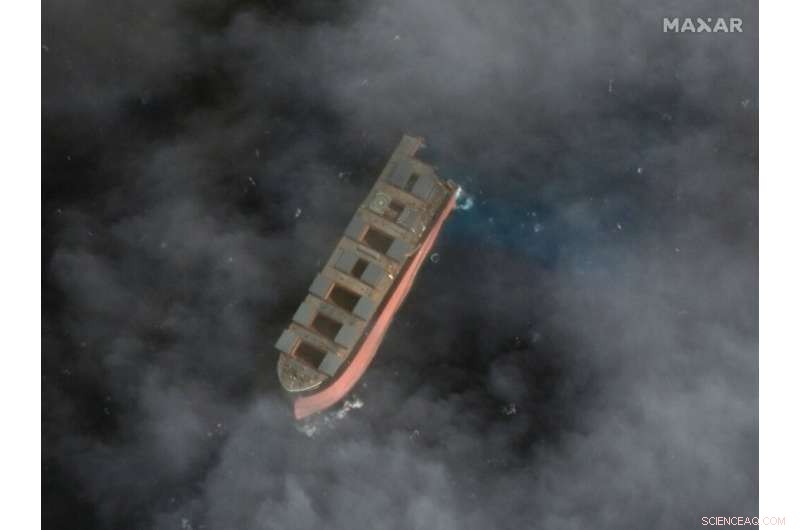 Japan Experts Warn of Long‑Term Ecological Threat in Mauritius Following Oil Spill