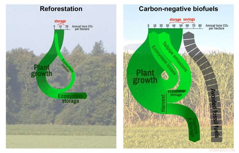 Advanced Biofuels: A Viable Path to Reduce Fossil Fuel Dependence