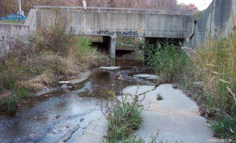 Urbanization Impact Varies Across Watersheds: New Study Reveals Divergent Streamflow Responses