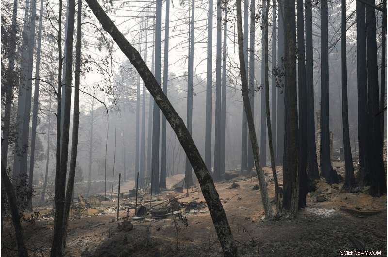 How Weather and Reinforcements Strengthen California Wildfire Suppression