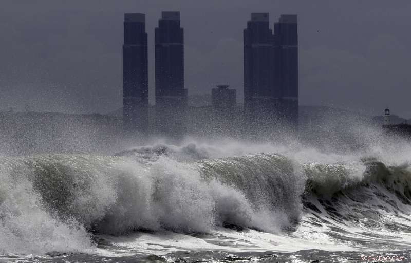 Typhoon Threatens Korean Peninsula: Flights Cancelled, Leaders Urge Precautions