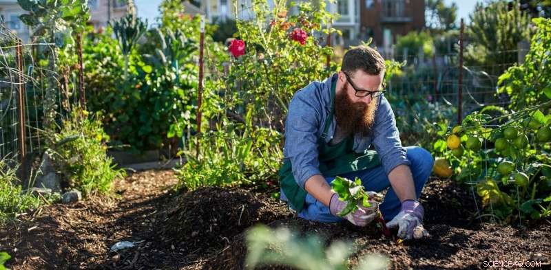Why Urban Farming Will Thrive in a Post‑Pandemic World: Four Key Reasons