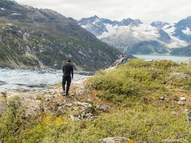 How Social Media Reveals Insights into Human‑Environment Relationships