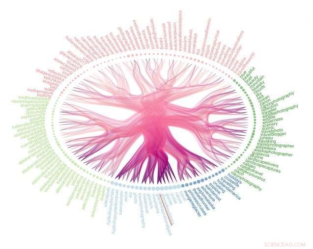 How Social Media Reveals Insights into Human‑Environment Relationships