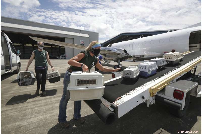 Hundreds of Thousands Evacuate U.S. Coast as Hurricane Laura Approaches