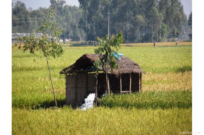 Most Groundwater Reservoirs Remain Resilient to Climate Change, New Study Finds