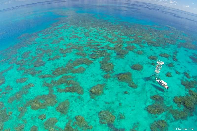 Critical Decisions Shape the Future of Global Coral Reefs