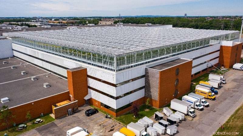 Montreal s Largest Rooftop Greenhouse Opens: A New Era of Urban Farming