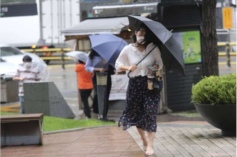 Typhoon Bavi Causes Widespread Damage and Flooding Across the Korean Peninsula
