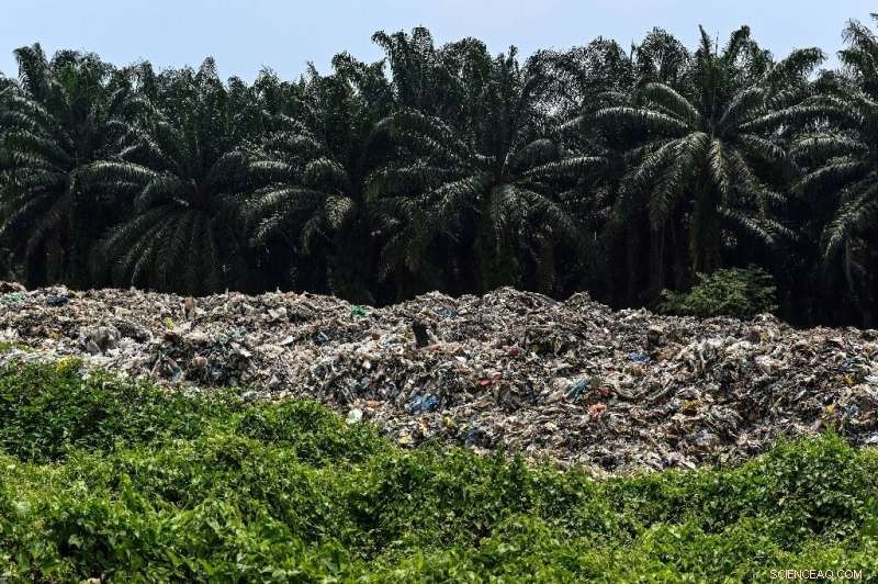 Illicit Recycling Schemes Exploit Surge in Global Plastic Waste
