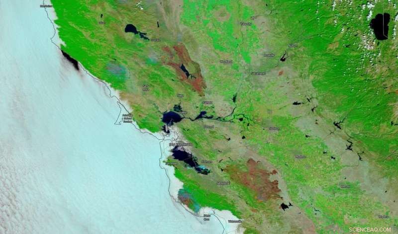 NASA’s Terra Satellite Highlights Burn Scars from California’s Largest Fires