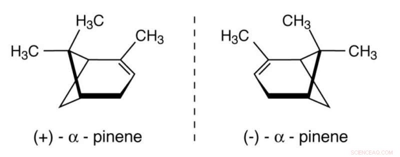 Discovering Chiral α‑Pinene in the Amazon Rainforest