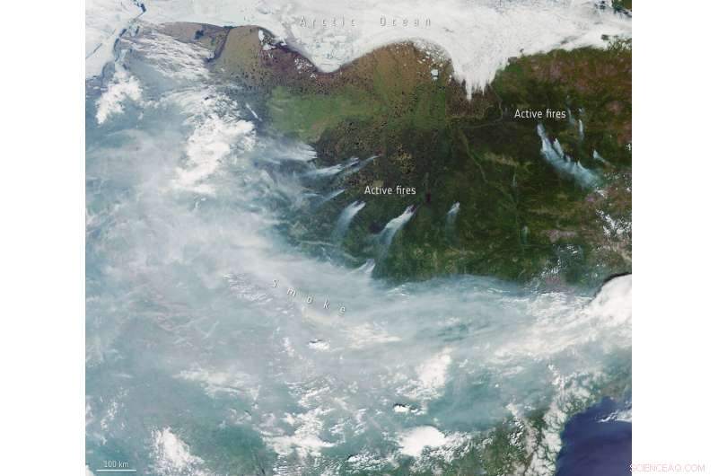 Tracking the Arctic Heatwave: Real‑Time Insights & Impact Assessment