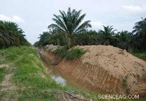 Study Reveals How Land‑Use Change Amplifies Flooding in Indonesia