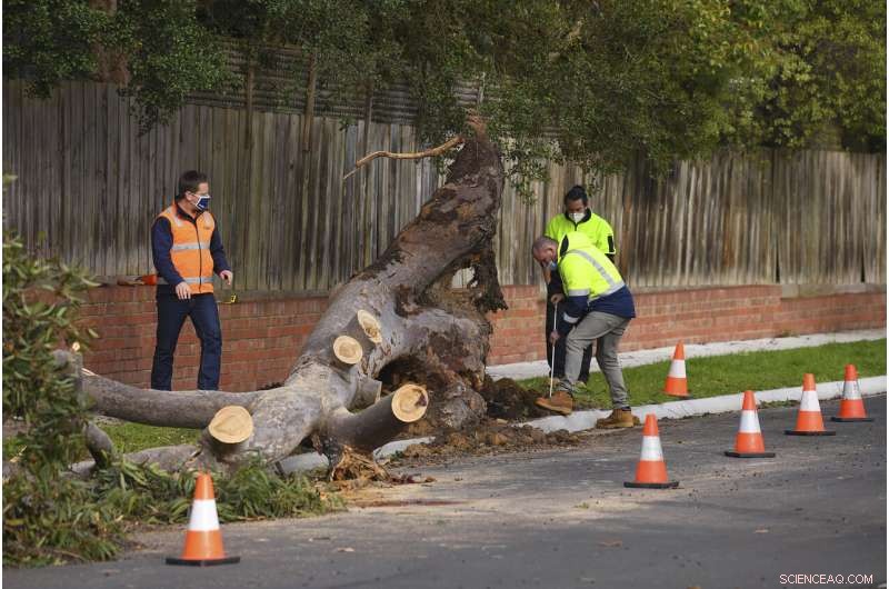 Melbourne Wild Storm Claims Three Lives, Disrupts 50,000 Homes and Contaminates Water Supply