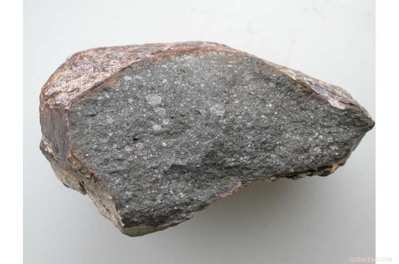 Meteorite Analysis Reveals Earth Has Been Wet Since Its Formation