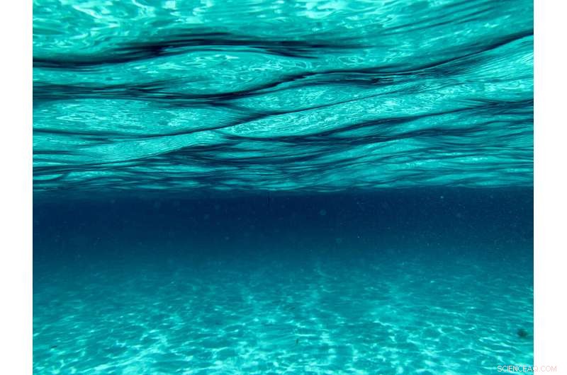 Recent Study Challenges Assumptions of Stable Element Ratios in Ocean Waters