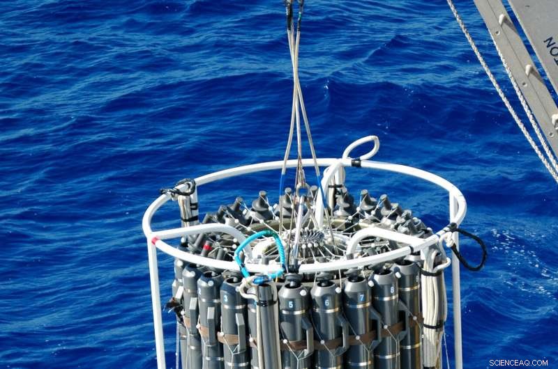 Recent Study Challenges Assumptions of Stable Element Ratios in Ocean Waters