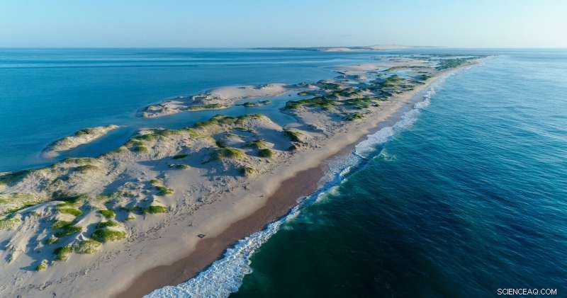 Recent Study Challenges Assumptions of Stable Element Ratios in Ocean Waters