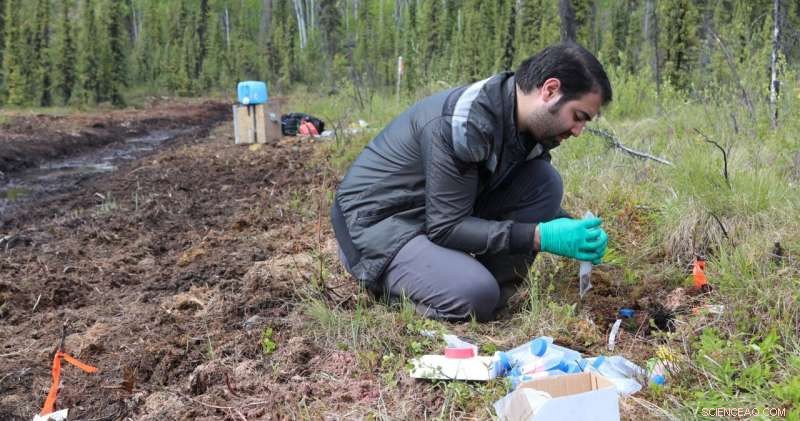 Ancient Soil Microbes Reveal the Arctic’s Climate Future