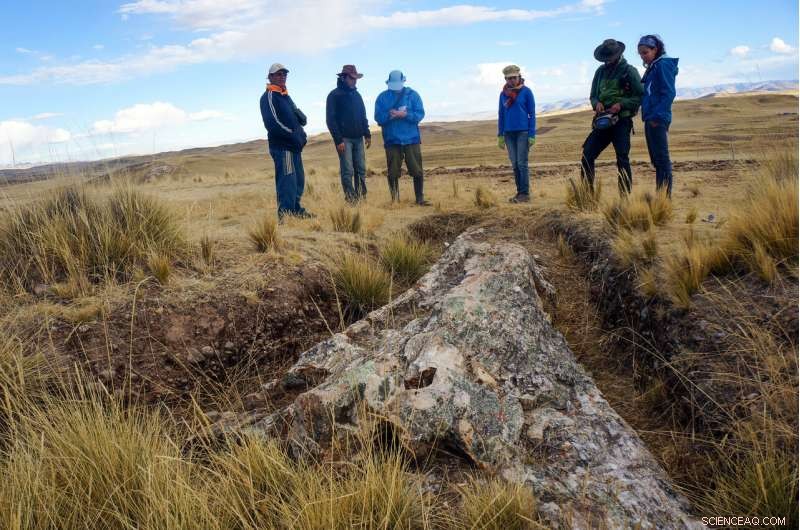 Ancient Fossil Trees on Peru’s Central Andean Plateau Reveal Dramatic Climate Shifts