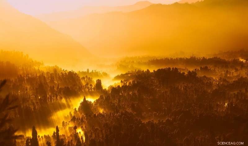 80% of Indonesia’s Vulnerable Rainforest, Mangroves & Peatlands Lacks Protection Against Palm Oil Expansion