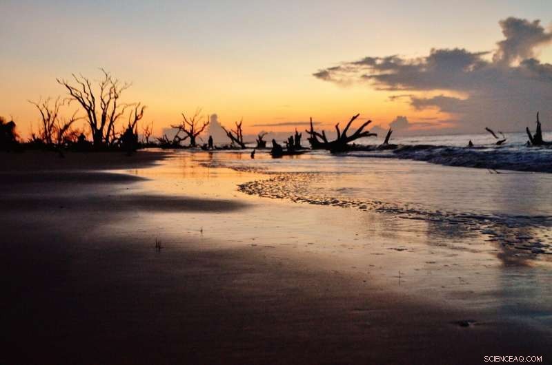 U.S. Agrees to Remove Weapons‑Grade Plutonium Waste from South Carolina