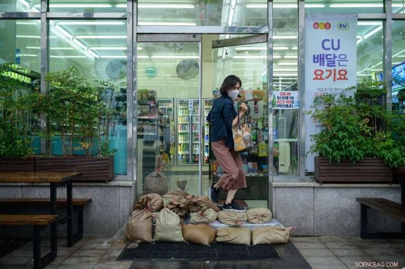 Typhoon Maysak Threatens Korean Peninsula; Both Koreas Issue High‑Alert Warnings